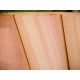 Western Red Cedar Vertical Cladding 25 X 150 (U Channel) KD
